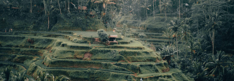 W Bali