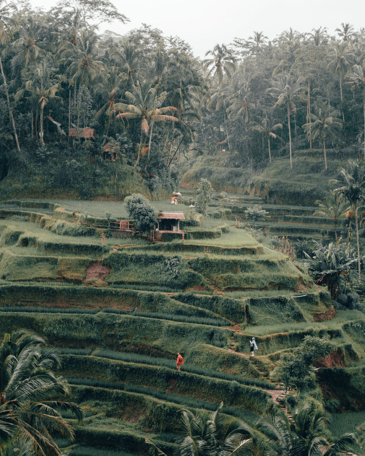 W Bali