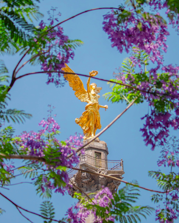W Mexico City