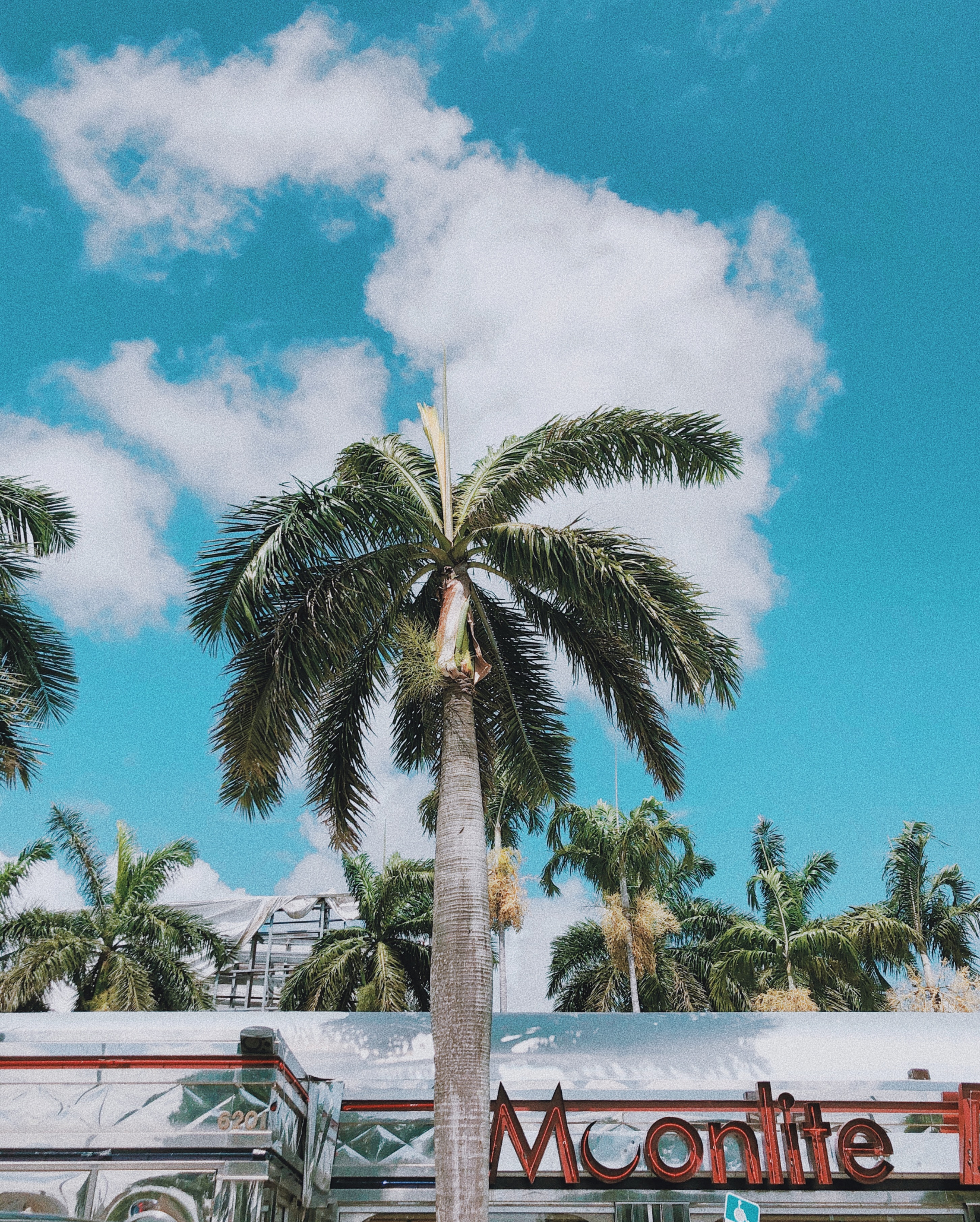 W Fort Lauderdale - What to Do