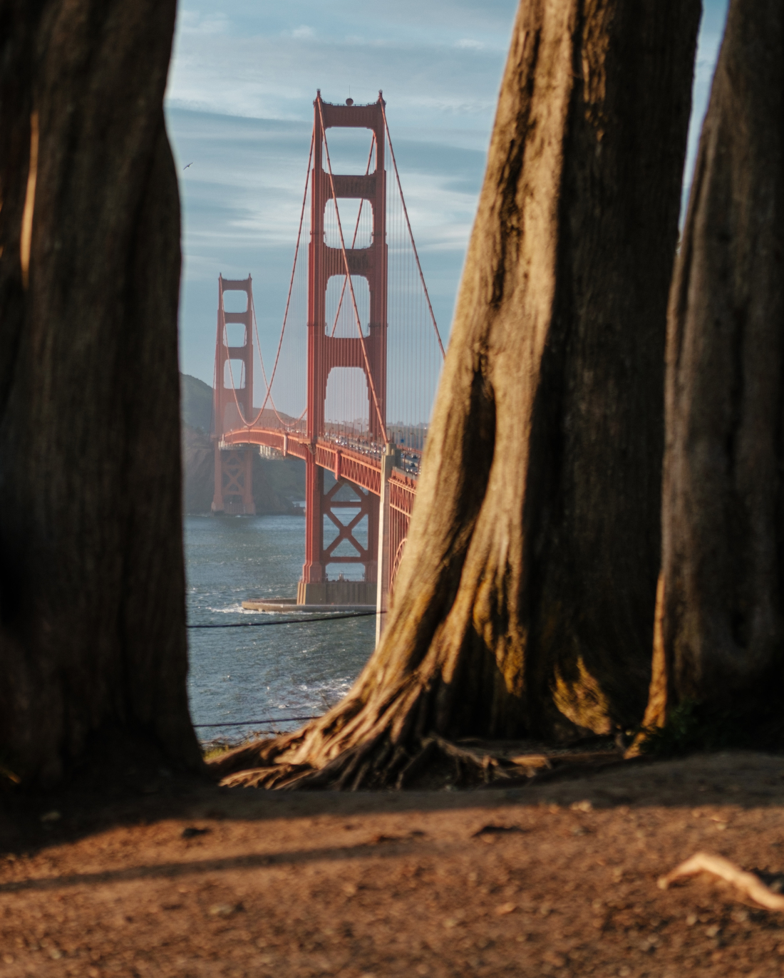 W San Francisco - What to Do