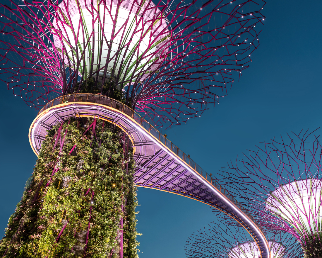 W Singapore - What to Know