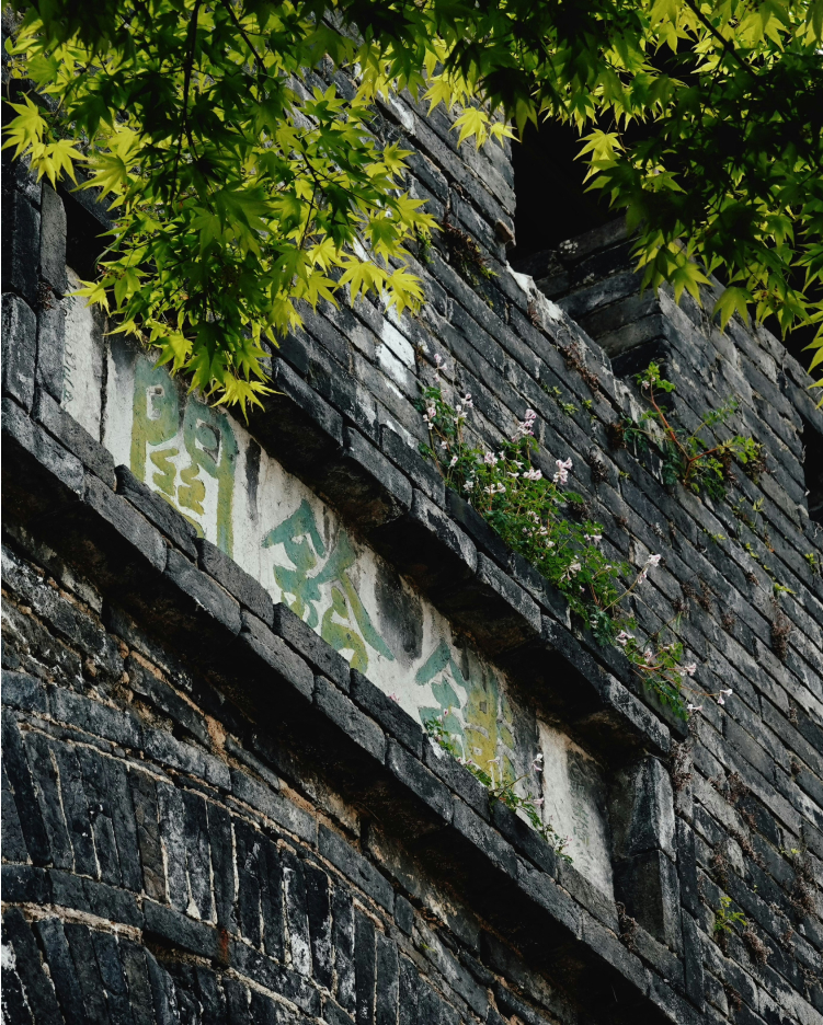 W Suzhou