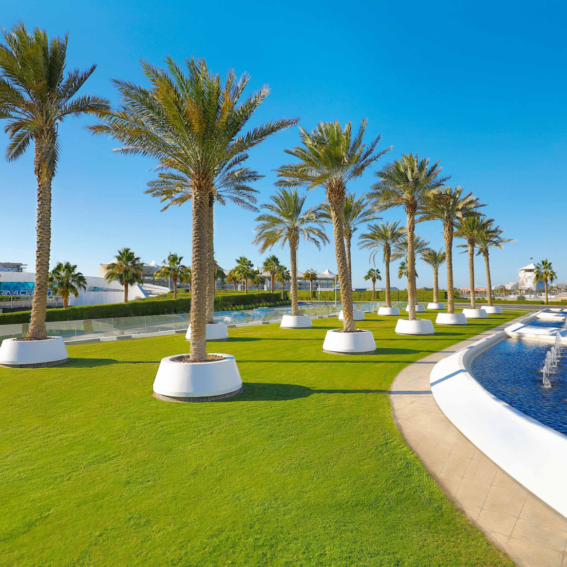 Book W Abu Dhabi
