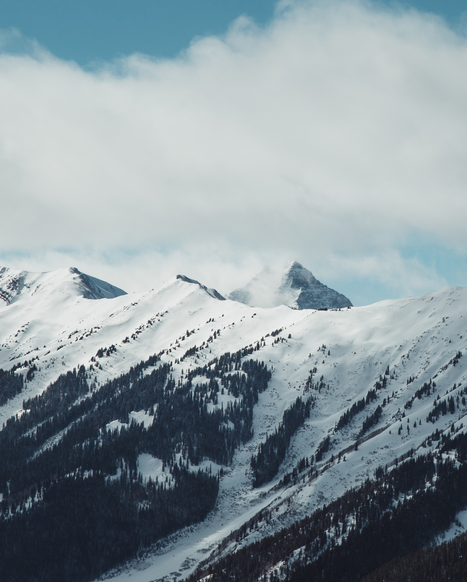W Aspen