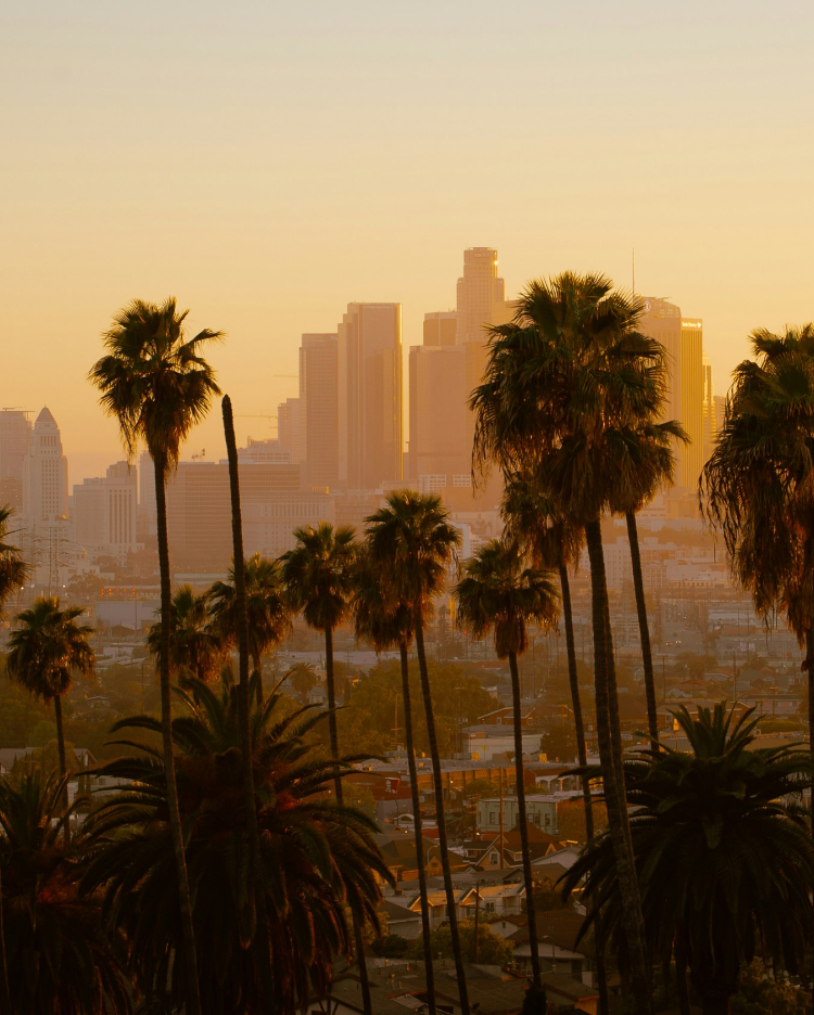 W Los Angeles